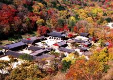 [여행] <!HS>불타는<!HE> 산 `삼색유혹`