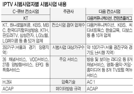 [스타트! IPTV] C-큐브ㆍ다음 상용화 대응 `잰 걸음`