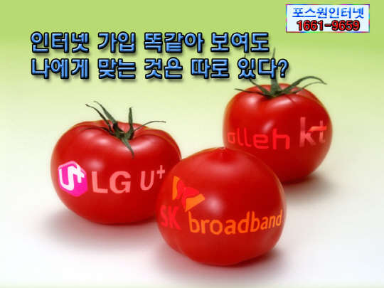 LG, SK, KT등 초고속인터넷가입 비교해주는 “포스원인터넷” 선풍적인 인기