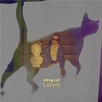 ̾۶ (BUDY), 25 ̱۾ٹ (stray cat) ߸