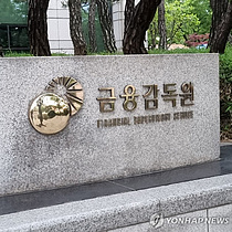 금융감독원, 자본시장 리스크 점검회의 개최