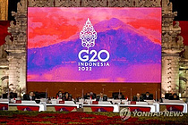 [Ӻ] G20  "ȸ `κ` ũ   "