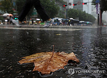 [내일 날씨] 가을비 흐르니 물러나는 늦더위...전국 대부분 확대