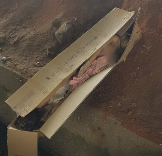 벌초 갔다가 발견한 옷 반쯤 벗겨진 여성 변사체…가까이 다가가 확인했더니