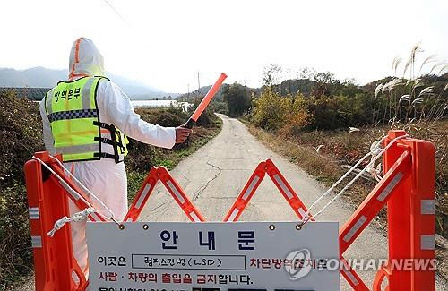 [속보] 경기 평택 이어 강원 양양서도 럼피스킨…하루 두건 발생