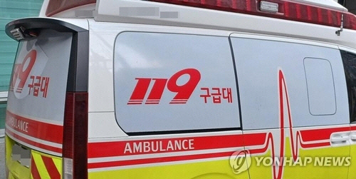 [속보] 가정폭력 체포된 남성, 음독 증상…병원 10여곳 이송 거부 끝내 사망