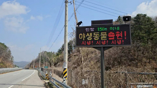 포스코DX, 환경부와 AI기반 `동물 찻길 사고 예방 시스템` 시범운영 개시
