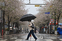 [] ָ  ü 帰  񡦼   Ȯ