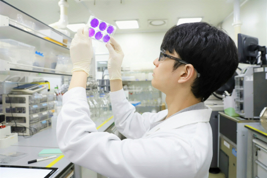 SK바이오사이언스, 질병청과 차세대 조류독감 백신 개발 착수