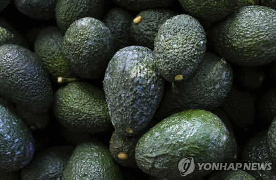 매일 아보카도 먹었더니 `꿀잠` 잤다?