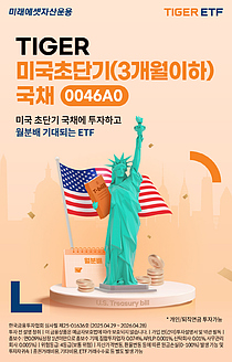 `TIGER ̱ʴܱ(3)ä ETF`,   ż Ը 1